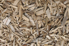 biomass boilers Peel