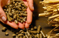 free Peel biomass boiler quotes